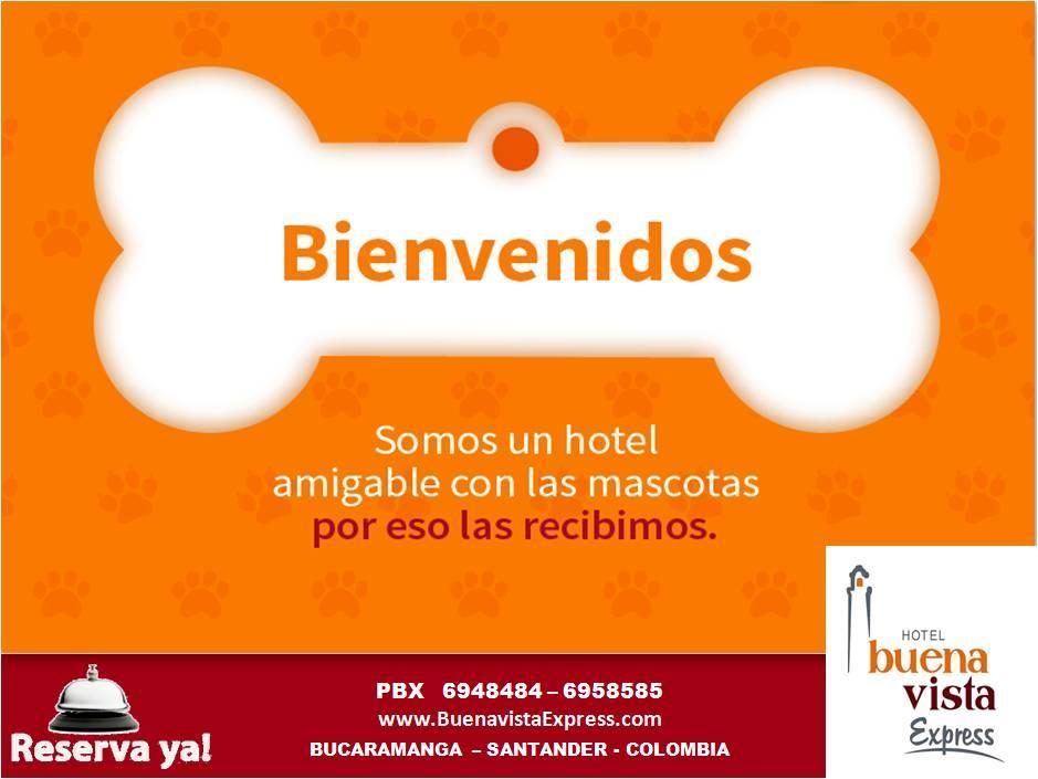 Hotel Buena Vista Express Bucaramanga Exterior foto